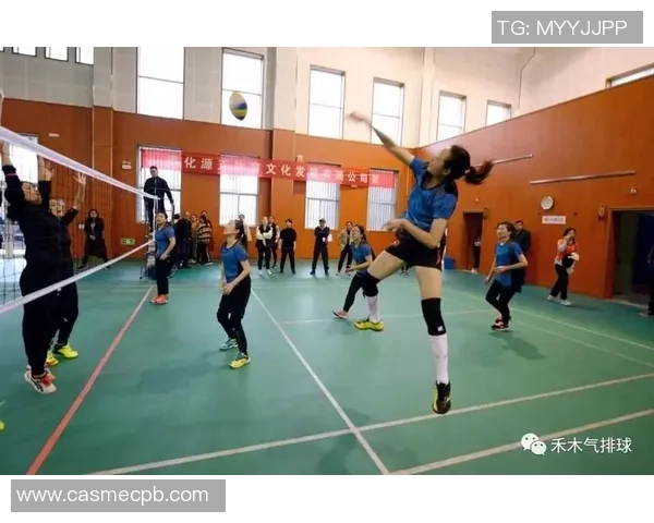 武汉排球队的速度之美：探索排球运动中的快速反应与战术配合