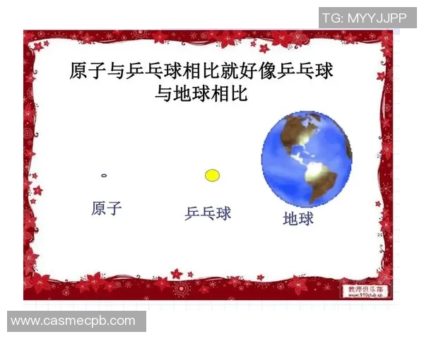 聚焦乒乓球技术探讨：杭州乒乓球队的训练与战术分析